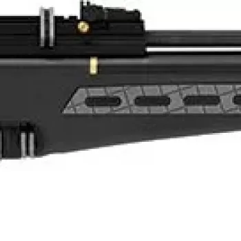 Hatsan BT65 RB Elite PCP Havalı Tüfek
