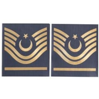 Asayiş TPU J. Astsubay Başçavuş Rütbe