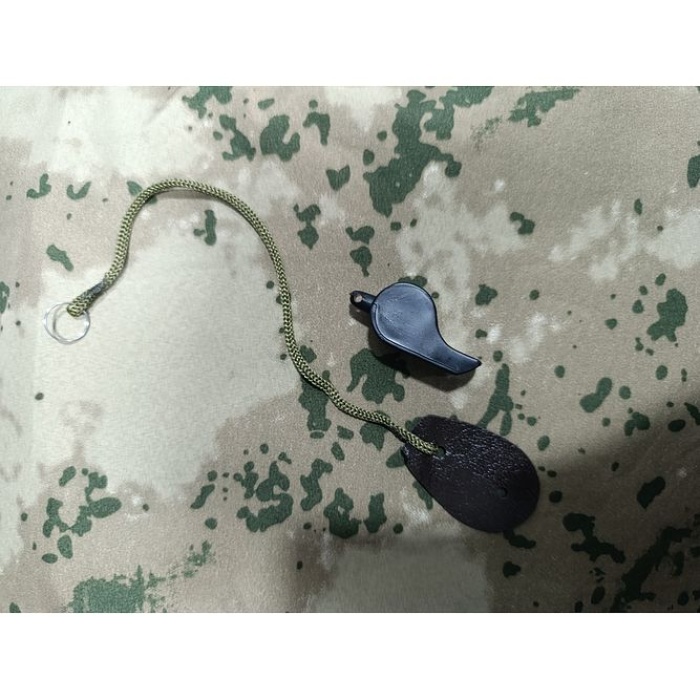 Düdük  Denetleme  Asayiş