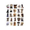 Sevimli Köpek Çıkartmaları Laptop Notebook Tablet Sticker Seti