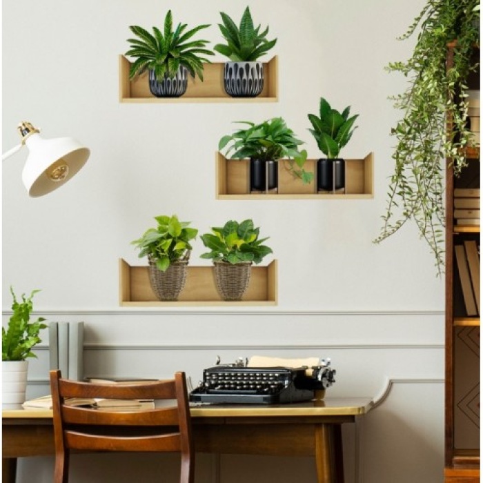Raflı Bitki Tasarımlı Yapışkanlı Sticker 20*30 Cm 3Lü Set