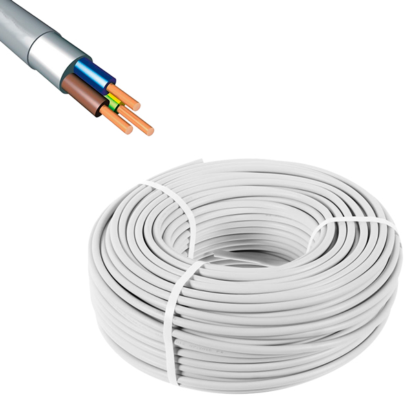 3 X 2.5 CCA TTR KABLO (100 METRE) (4767)