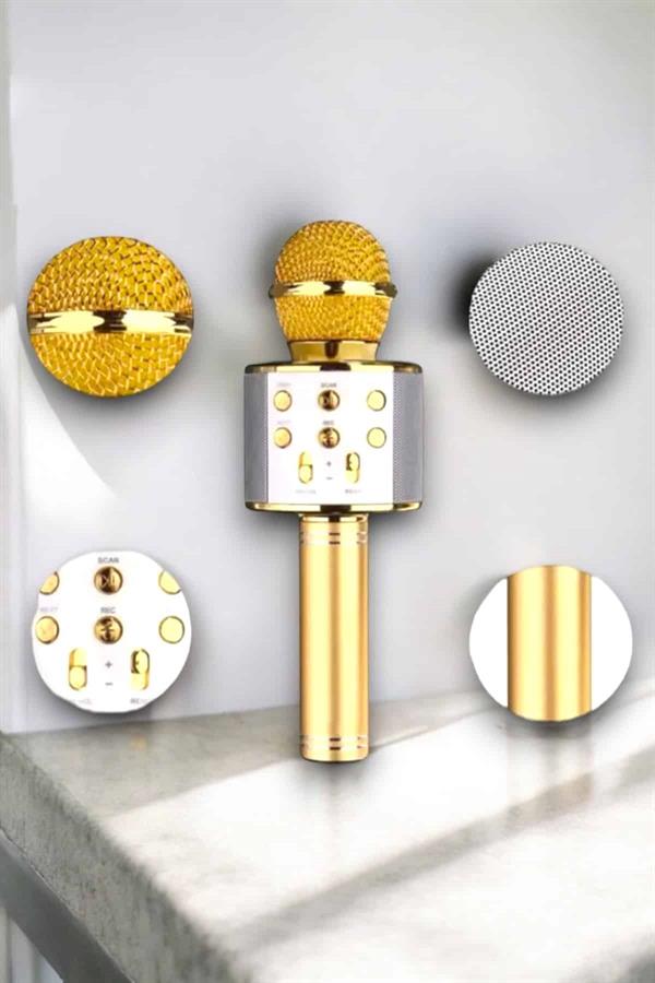 Taşınabilir Bluetooth Karaoke Mikrofon: Hafıza Kart Girişli, Etkileyici Performans