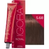 SCHWARZKOPF IGORA ROYAL SAÇ BOYASI 5.68 AÇIK KAHVE ÇİKOLATA KIZIL 60 ML (PAKET 3 ADET)