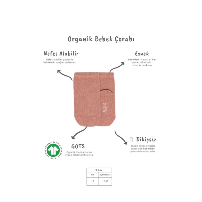 5li Penye Soket Kutulu Basic Çorap 10131 Pudra