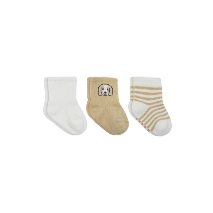 Bistyle Dog Boy 3lü Penye Soket Çorap 10134 Ekru