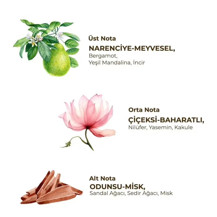 Kadın Roll On Deodorant 75 ml Active