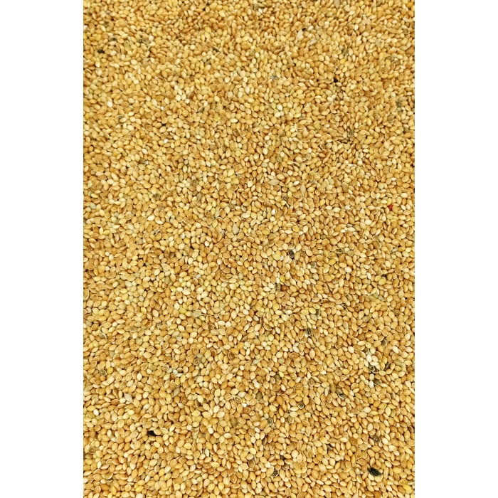 Muhabbet ve Tüm Egzotik Kuşlar İçin Doğal Taze Tane Sarı Darı - 500 gr