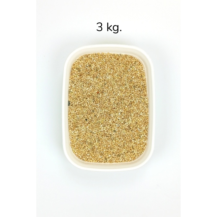 Muhabbet ve Tüm Egzotik Kuşlar İçin Doğal Taze Tane Sarı Darı - 3 kg