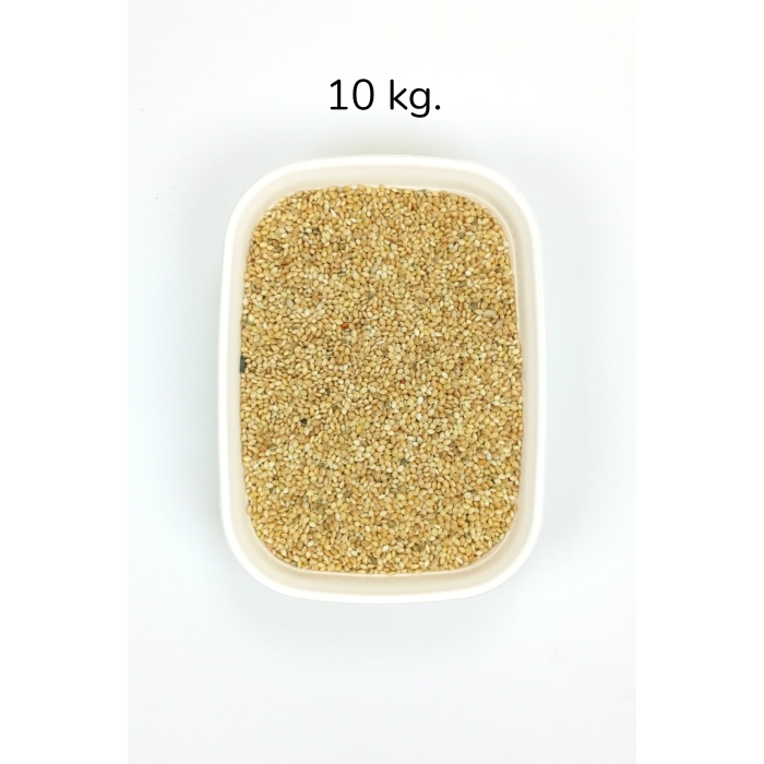 Muhabbet ve Tüm Egzotik Kuşlar İçin Doğal Taze Tane Sarı Darı - 10 kg