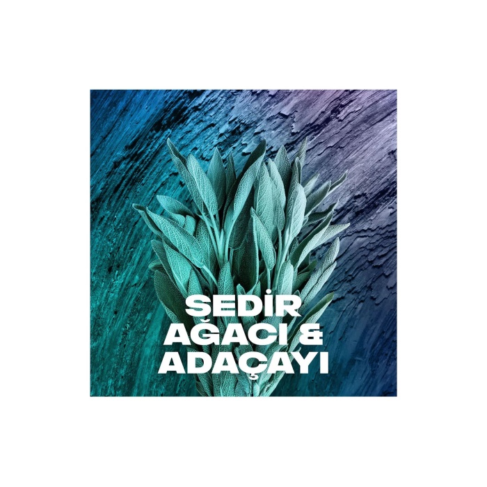 2 Adet Axe Erkek Sprey Deodorant Apollo 48 Saat Etkileyici Koku Vücut Spreyi 150 ml