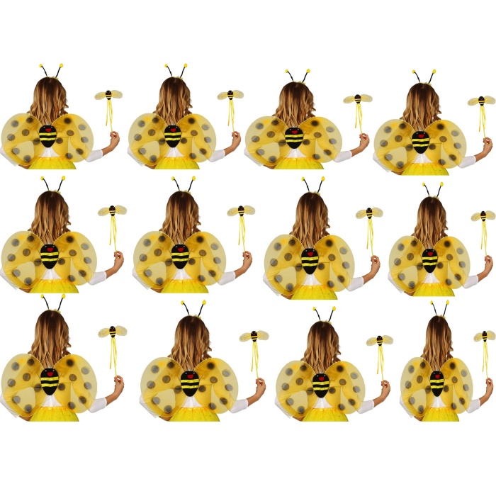 Okul Gösterileri için 12 li Arı Kanadı Seti - Etkinlik Kanatları