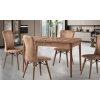 MASA 870 TROPİK CEVİZ SANDALYE 653