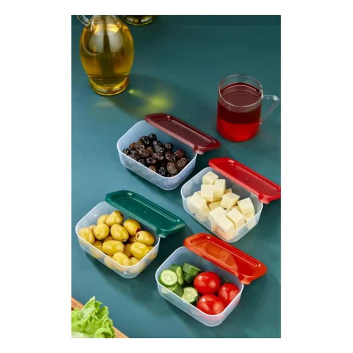 4lü Kapaklı Saklama Kabı Çerezlik Kahvaltılık Piknik Kabı Royaleks-HS-017