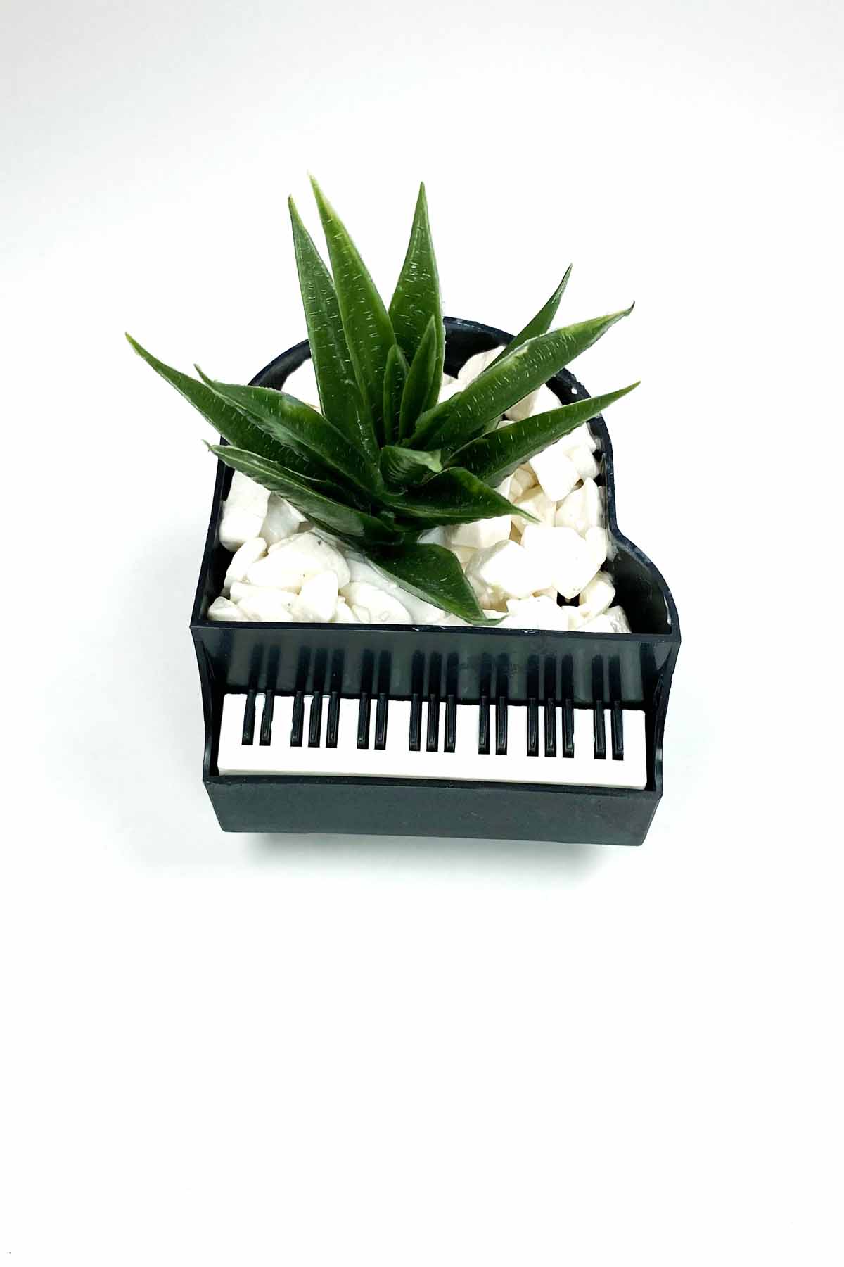 Saksıda Sukulent Çiçek Piyano Yapay Bitki 10x10x8 cm