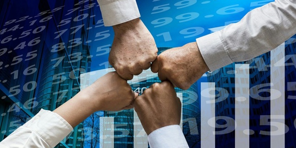 Xml Bayilik Veren Firmalar 2023