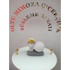 UZAYLI ASTRONOMİ
