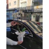 ÇİFT DALI BEYAZ ORKİDE