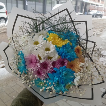 Karışık Rengarenk Papatya Buketi