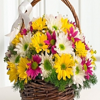 SEPET RENGARENK ÇİÇEK