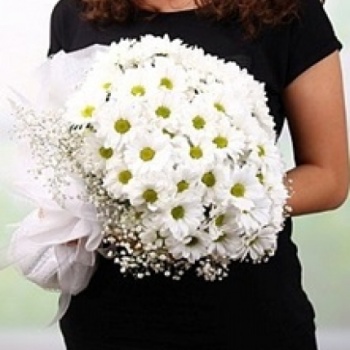 KUCAK DOLUSU PAPATYA