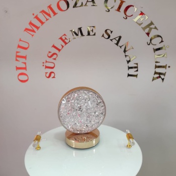 AKSESUAR LED KRİSTAL IŞIKLI