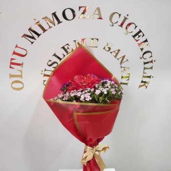 Canlı Gerbera Hüsnüyusuf Buketi