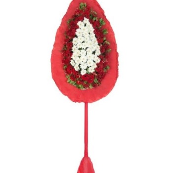 Canlı Papatya - Gerbera Celenk Şık Tasarım