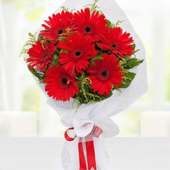 7 Ad. Kırmızı Gerbera Buketi