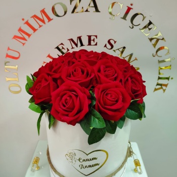 YAPAY KUTU GÜL CANIM ANEM