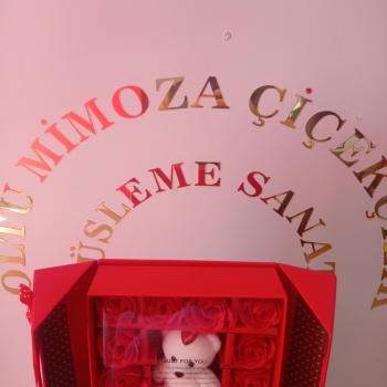 Kutuda 1O Adet yapay Gül Ayıcık Hediyelik Kutu