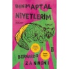 Benim Aptal Niyetlerim