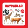 Hayvanlar Türkçe-İngilizce