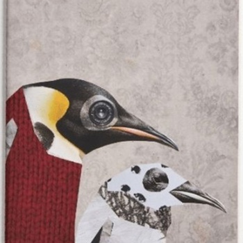Nesin Defter - Penguen