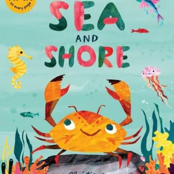 Curious Kids: Sea And Shore