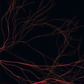 Hiçliğin Kıyısında