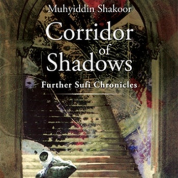 Corridor Of Shadows