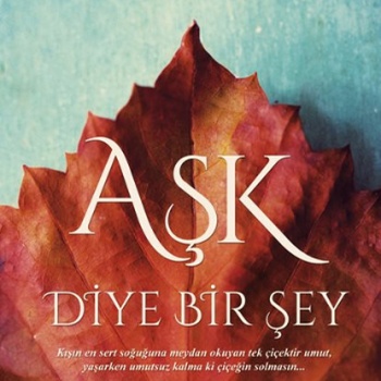 Aşk Diye Bir Şey