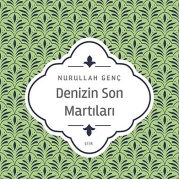 Denizin Son Martıları