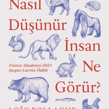 Hayvanlar Nasıl Düşünür İnsanlar Ne Görür?