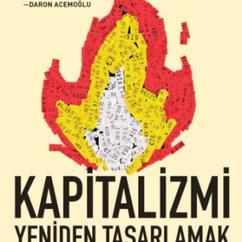 Kaos İçindeki Dünyada Kapitalizmi Yeniden Tasarlamak