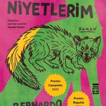 Benim Aptal Niyetlerim