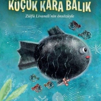 Küçük Kara Balık