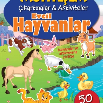 Muhteşem Çıkartmalar ve Aktiviteler - Evcil Hayvanlar