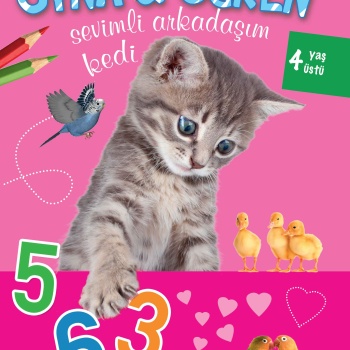 Oyna Öğren Sevimli Arkadaşım Kedi 4 Yaş Üstü