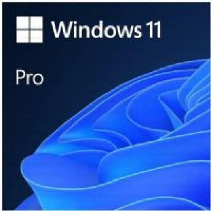 MS Windows 11 Pro 64Bit Türkçe DVD FQC-10556