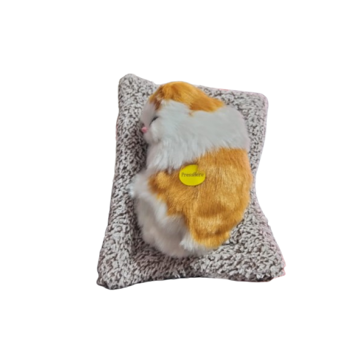 YAVRU YATAN KEDİ SESLİ