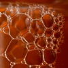 Face Cleansing Liquid - SWISS ALPS BLACK BEE HONEY
