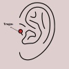 316L Çelik Gold Renk Zirkon Taşlı Çiçek Tragus Piercing
