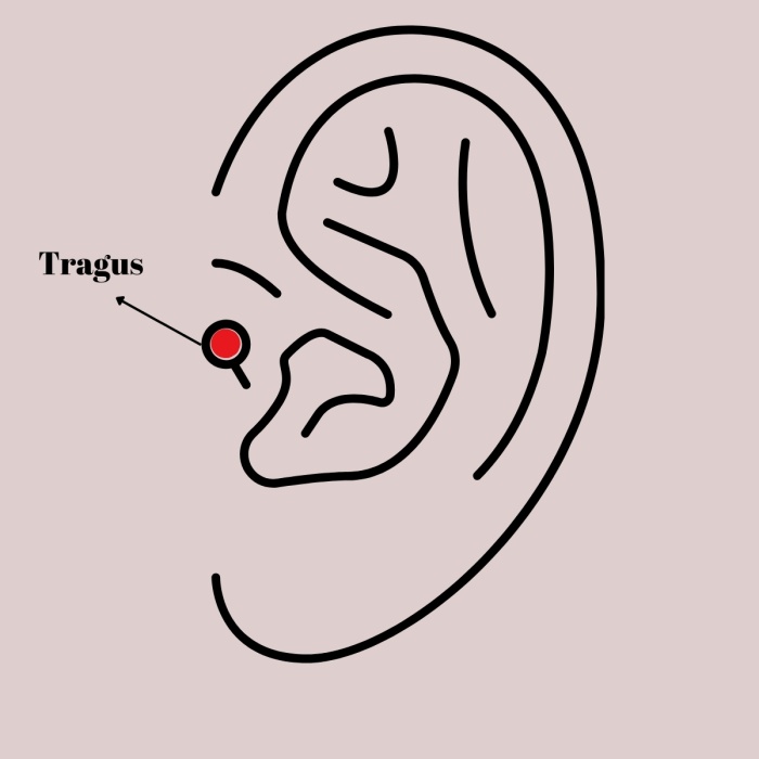 316L Çelik Gümüş Renk Pembe Zirkon Taşlı Kalp Tragus Piercing